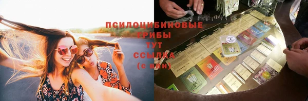 меф Арсеньев