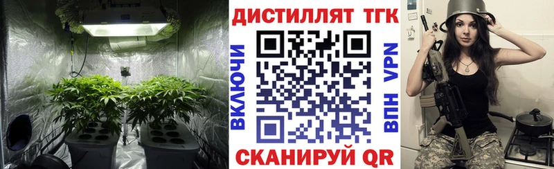 наркошоп  Солигалич  Дистиллят ТГК концентрат 