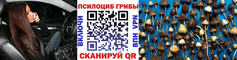 Псилоцибиновые грибы Psilocybine cubensis  Солигалич 